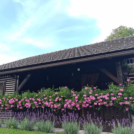 Amb Village Point Dob 외부 사진