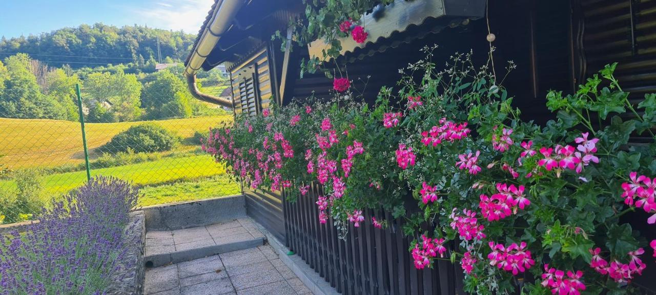 Amb Village Point Dob 외부 사진